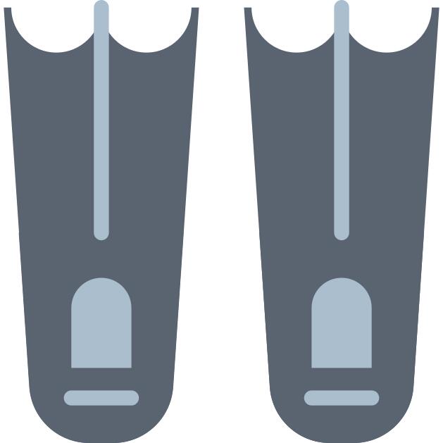 Flipper