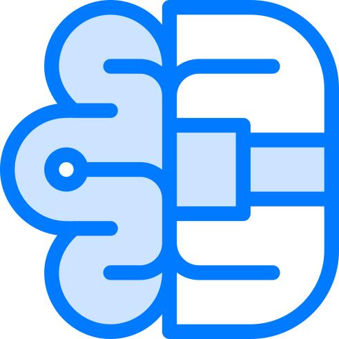 Brain