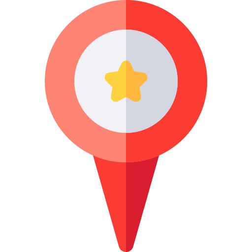 Pin