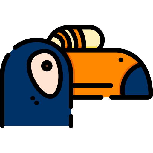 Toucan