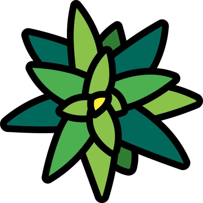 Bromeliaceae