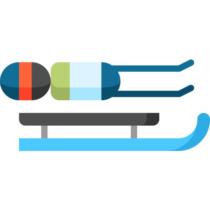 Luge