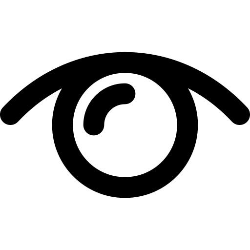 Vision