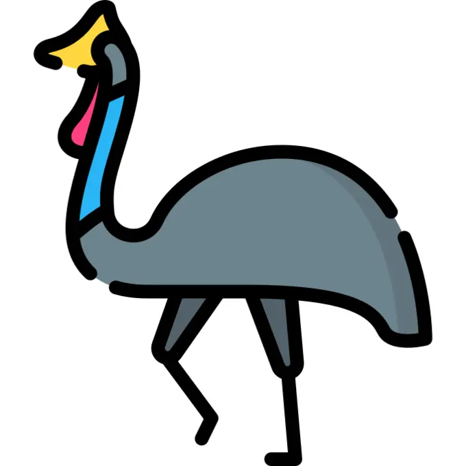 Cassowary