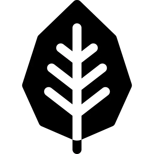Alder