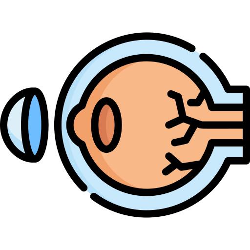 Eye