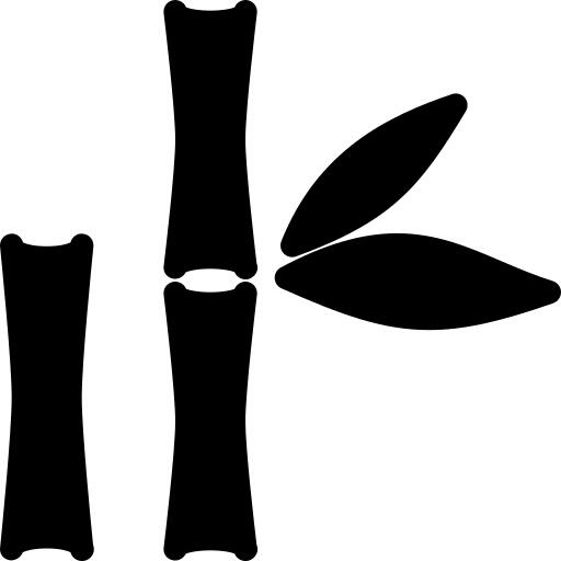 Bamboo