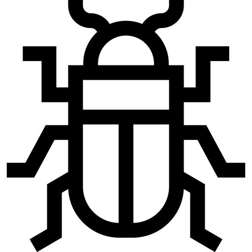 Beetle