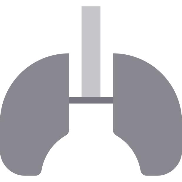 Lungs