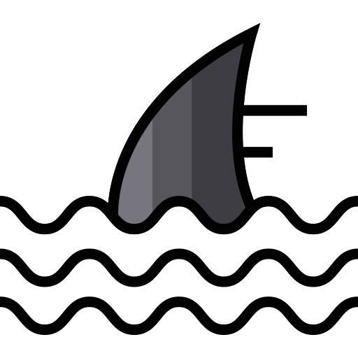 Shark