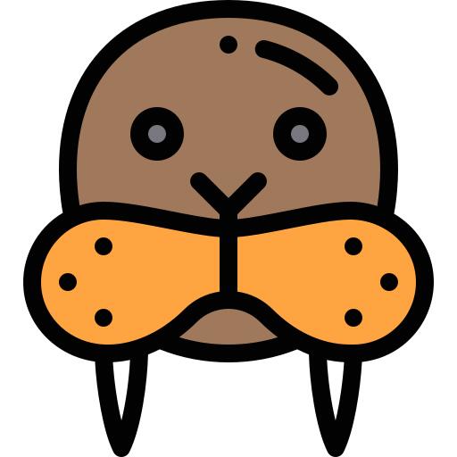 Walrus