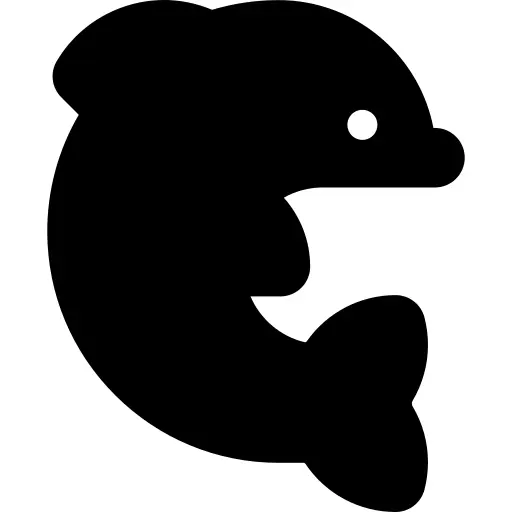 Dolphin