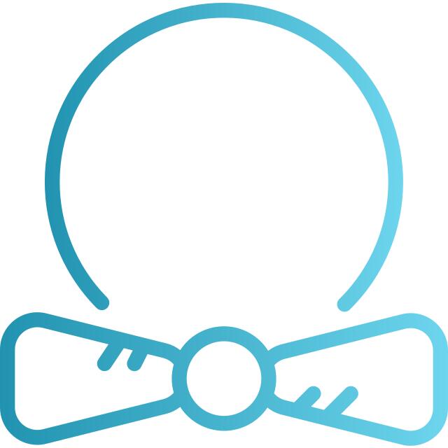 Bow