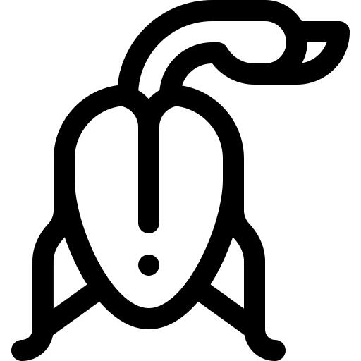 Peking duck