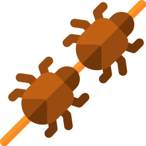 Insect