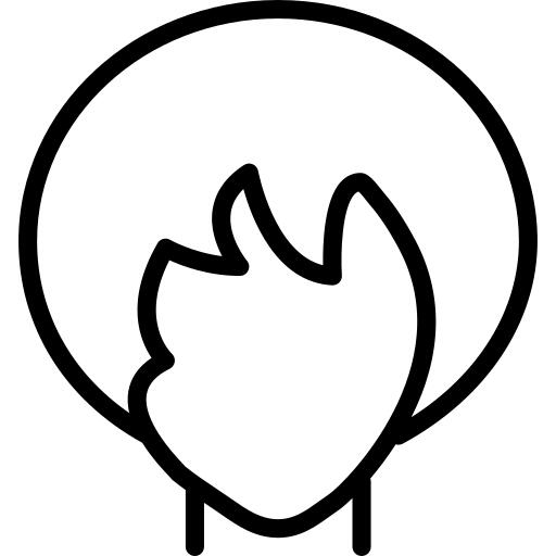 Woman hair