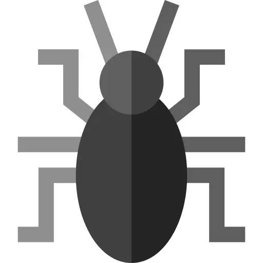 Beetle