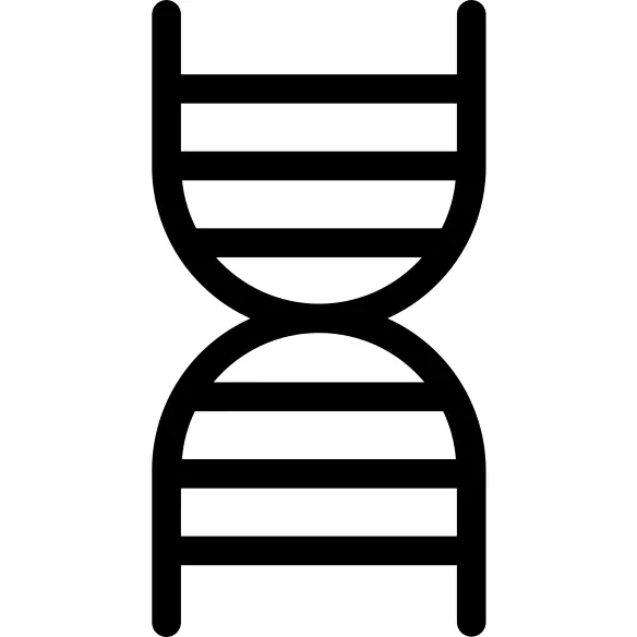 Dna