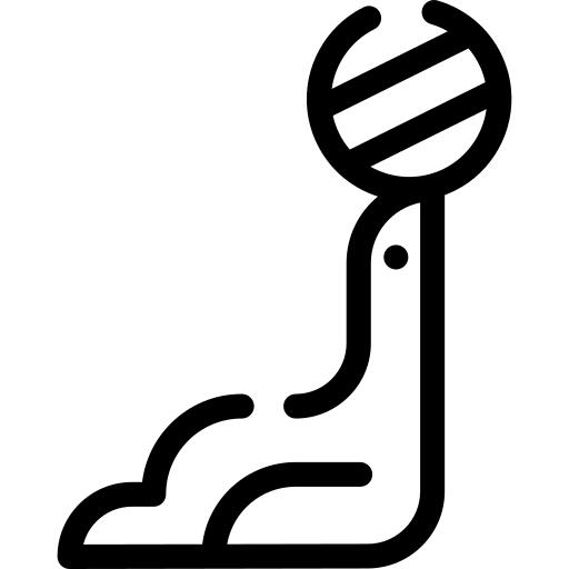 Seal