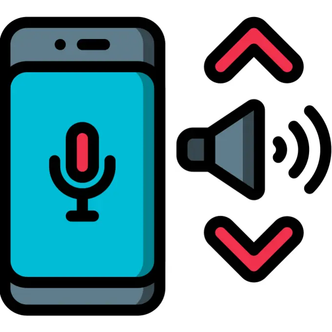 Voice assistant
