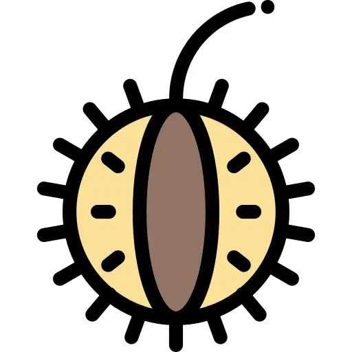 Chestnut