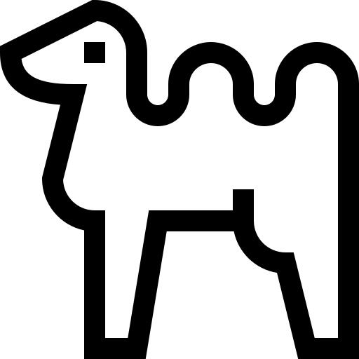 Camel