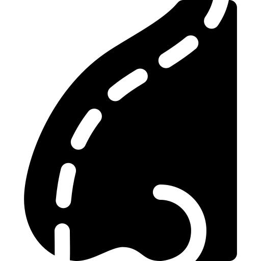 Nose