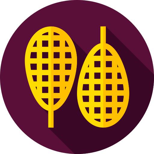 Snowshoes