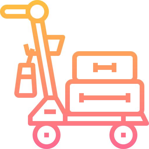 Luggage
