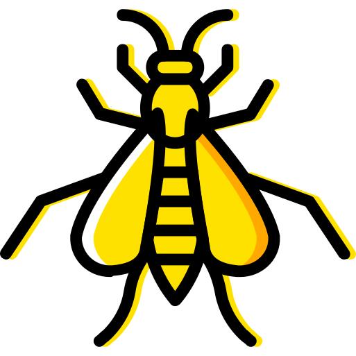 Wasp