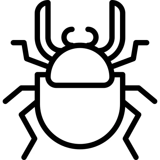 Beetle