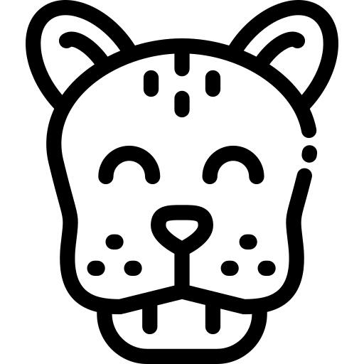 Cheetah