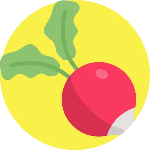 Radish