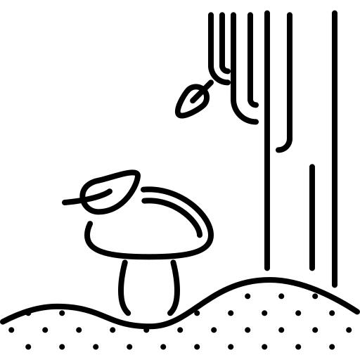 Mushroom