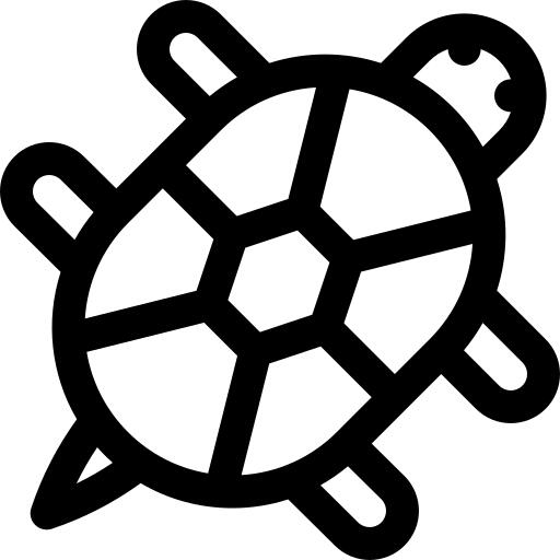 Tortoise