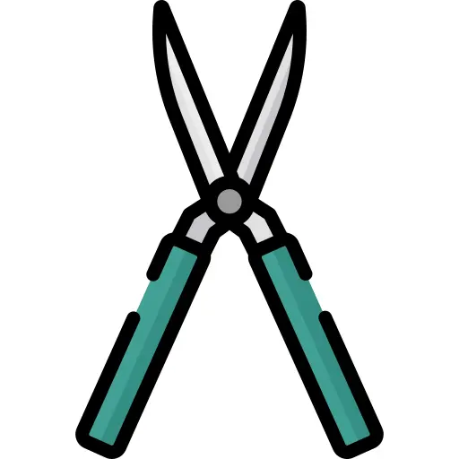 Scissors