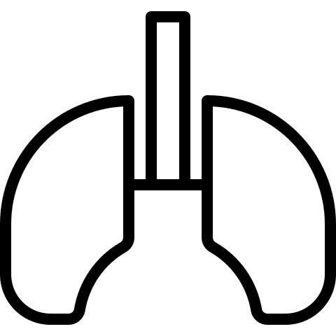 Lungs