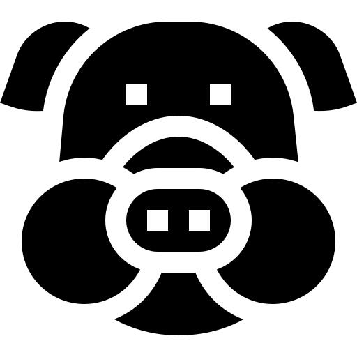 Pig