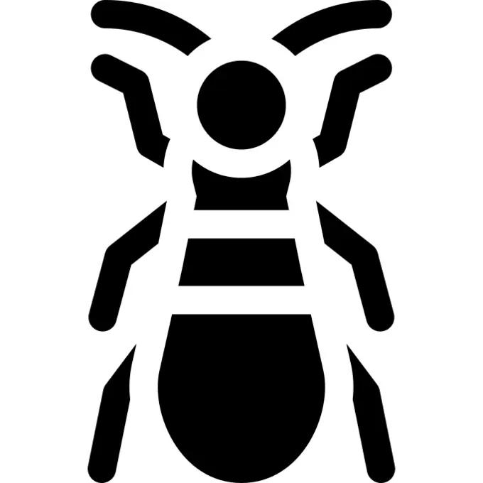 Bug
