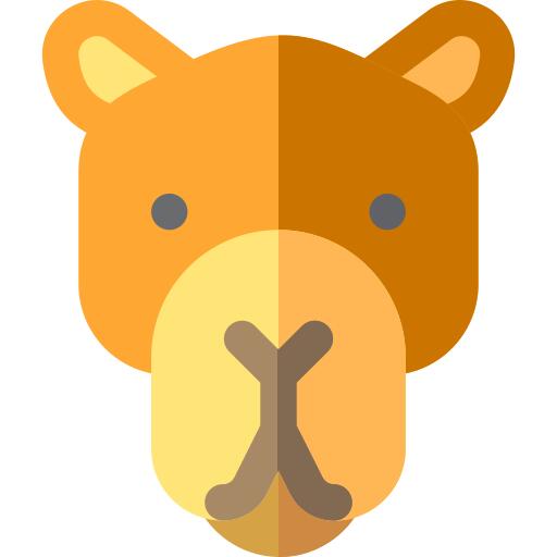 Camel