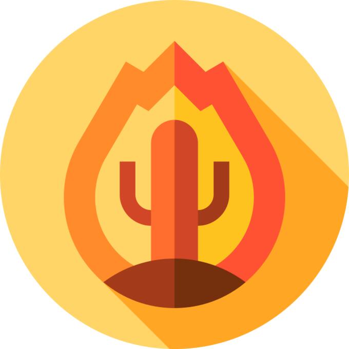 Fire