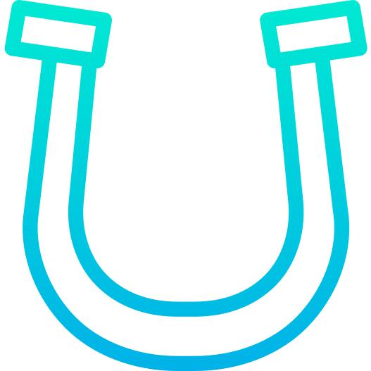 Horseshoe