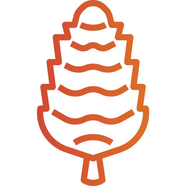 Pine cone