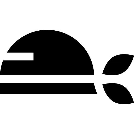 Pirate