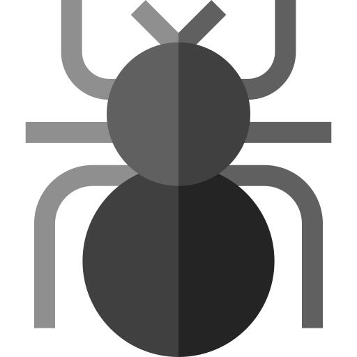 Beetle