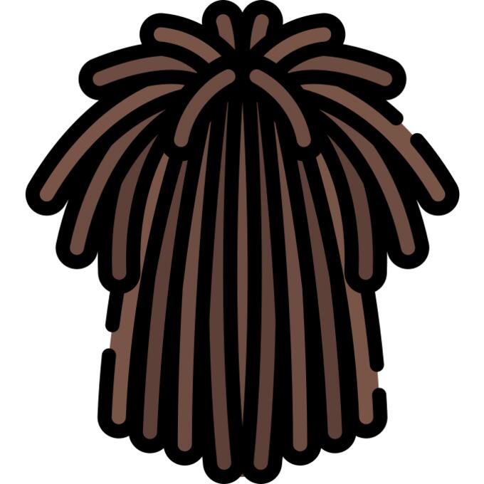 Wig