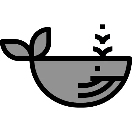 Whale