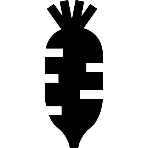 Radish