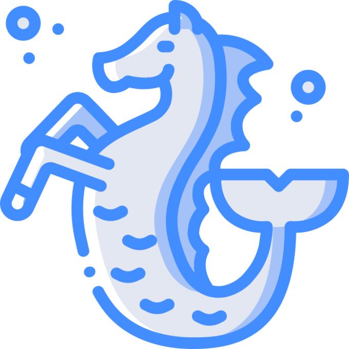Seahorses