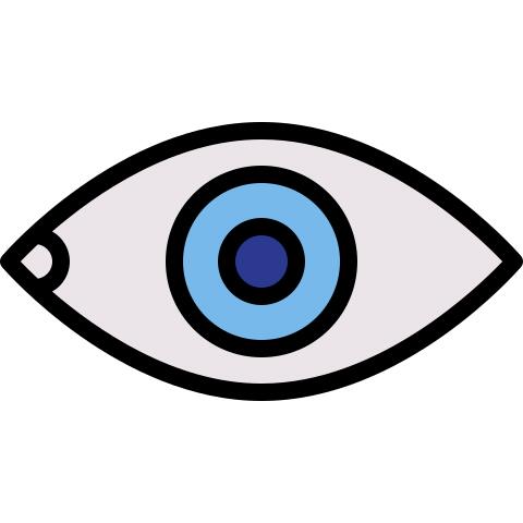 Eye